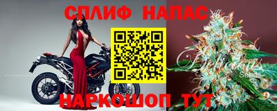 гашик Пугачёв