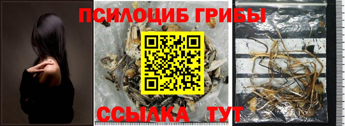 Сарапул  где можно купить наркотик  Вход с VPN  Псилоцибиновые грибы MAGIC MUSHROOMS 